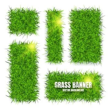 Green grass banners, background. Field, meadow texture, grassy landscape Illustrazione stock