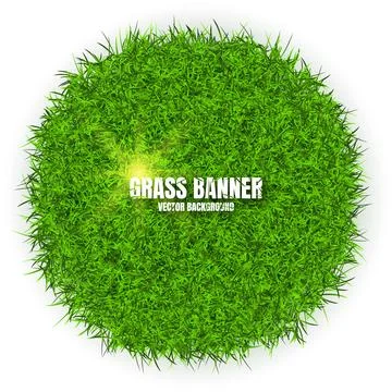 Green grass banners, background. Field, meadow texture, grassy landscape Illustrazione stock