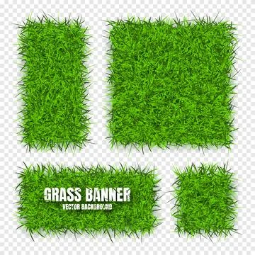 Green grass banners, background. Field, meadow texture, grassy landscape Illustrazione stock