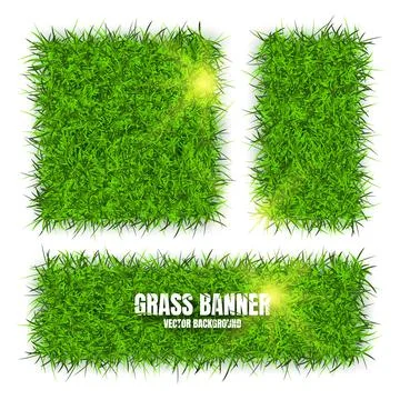 Green grass banners, background. Field, meadow texture, grassy landscape Illustrazione stock