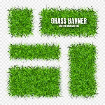 Green grass banners, background. Field, meadow texture, grassy landscape Illustrazione stock