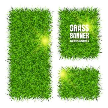 Green grass banners, background. Field, meadow texture, grassy landscape Illustrazione stock