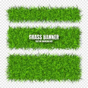 Green grass banners, background. Field, meadow texture, grassy landscape Illustrazione stock