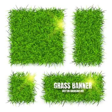 Green grass banners, background. Field, meadow texture, grassy landscape Illustrazione stock