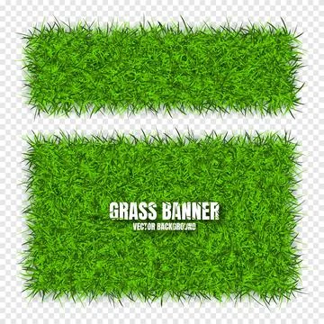 Green grass banners, background. Field, meadow texture, grassy landscape Illustrazione stock
