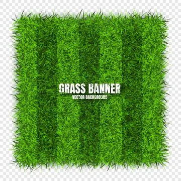 Green grass banners, background. Field, meadow texture, grassy landscape Stock Illustration
