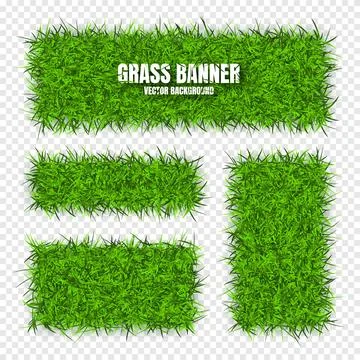 Green grass banners, background. Field, meadow texture, grassy landscape Stock Illustration