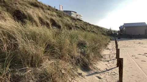 Green grass by the beach Video stock 143811422