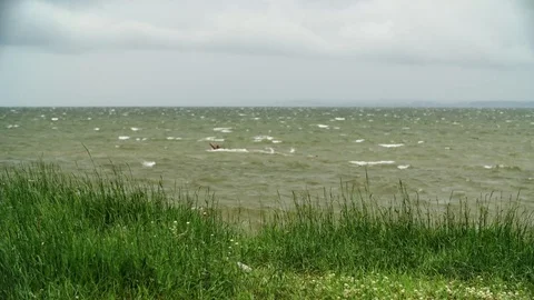 Green Grass On Beach With Ocean In Background. Storm Vídeos de archivo 96474392