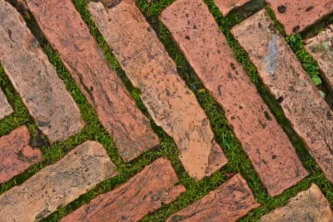 Green grass between cobblestones Stock Photos