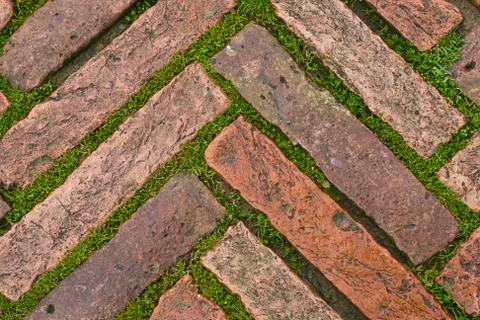 Green grass between cobblestones Stock Photos