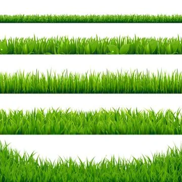 Green Grass Big Set Stock Illustration