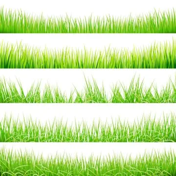 Green Grass Big Set, Vector Illustration Stock Illustration