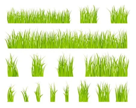 Green grass. Bio lawn pattern, herbal summer border. Isolated fields, spring Stock Illustration