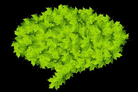 A green grass on a black background Stock Photos