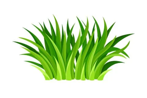 Green Grass Blades or Herbage as Forest Element Vector Illustration Stock Illustration
