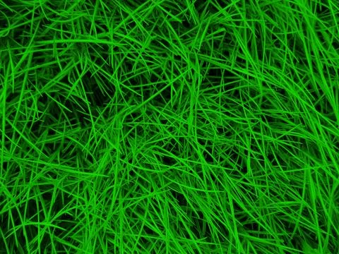 Green grass blades Stock Photos