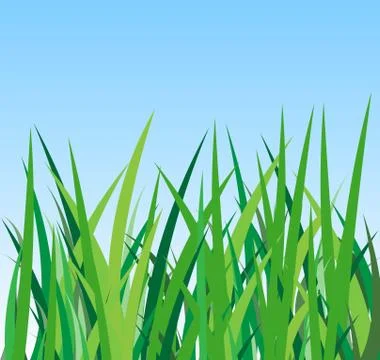 Green grass on a blue background Illustrazione stock