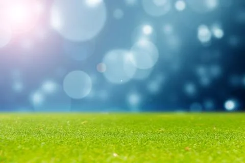 Green grass with blue bokeh Stock Illustration