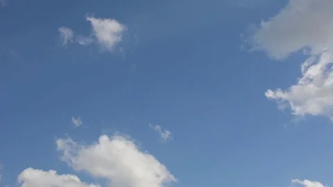 Green grass on blue sky background Video stock 77004658