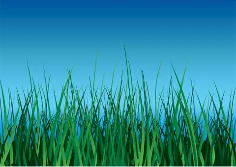 Green grass on blue sky background. Stock Illustration