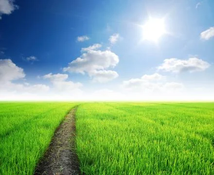 Green grass blue sky cloud cloudy landscape background Stock Photos