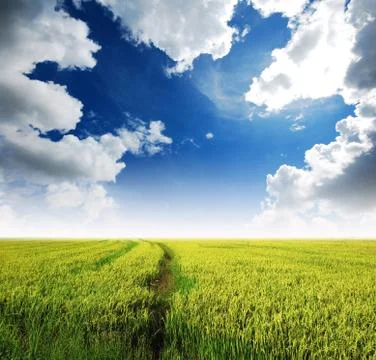 Green grass blue sky cloud cloudy landscape background Stock Photos
