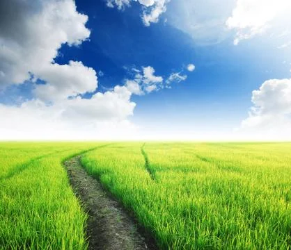 Green grass blue sky cloud cloudy landscape background Stock Photos