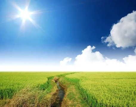 Green grass blue sky cloud cloudy landscape background Stock Photos