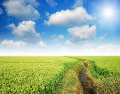 Green grass blue sky cloud cloudy landscape background Stock Photos