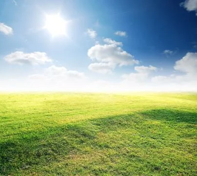 Green grass blue sky Stock Photos