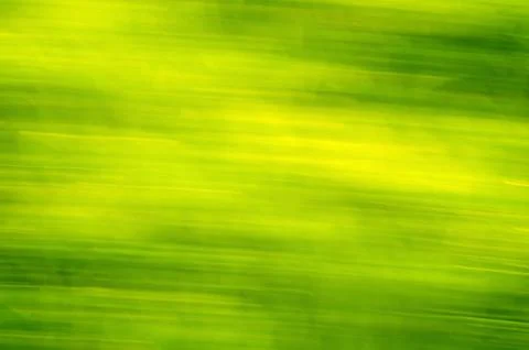 Green grass blur spring texture, light and dark lines. Stock Photos