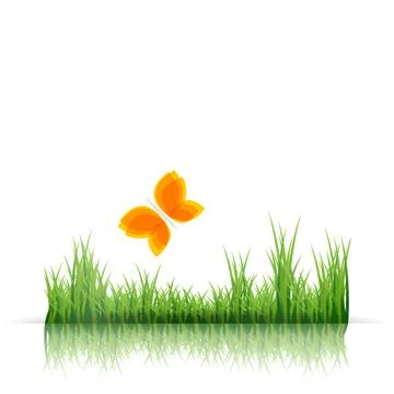Green grass border and orange butterfly on white background. Spring or summer Stock Illustration