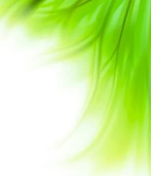 Green grass border background Stock Illustration