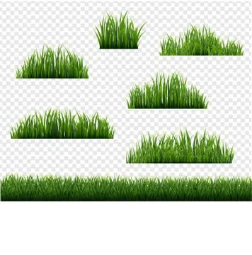 Green Grass Border Big Set Transparent Background Stock Illustration