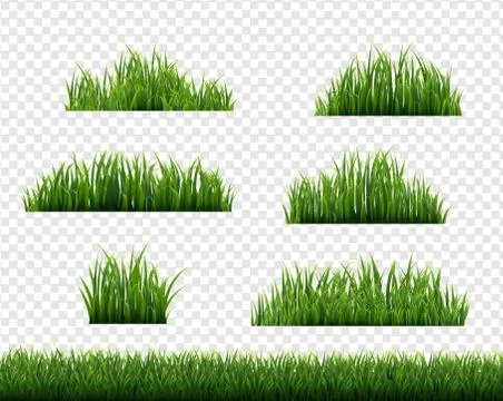 Green Grass Border Big Set Transparent Background Stock Illustration