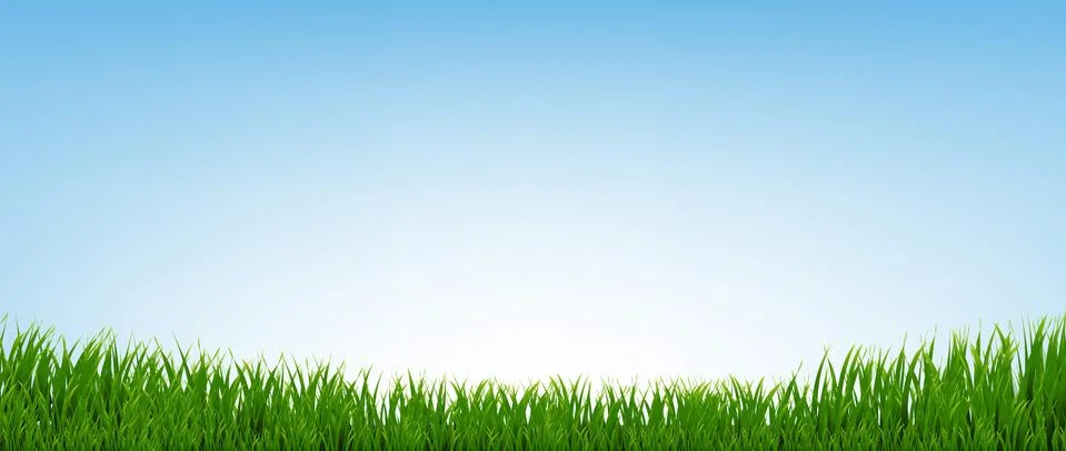 Green Grass Border With Blue Background Stock Illustration