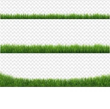Green Grass Border Collection And Transparent Background Illustrazione stock