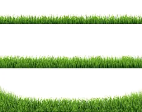 Green Grass Border Collection And White Background Stock Illustration