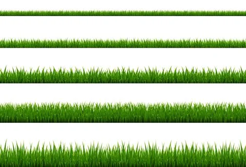 Green Grass Border Collection Isolated White Background Illustrazione stock