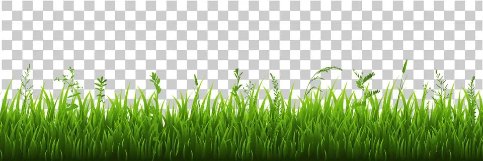 Green Grass Border Stock Illustration