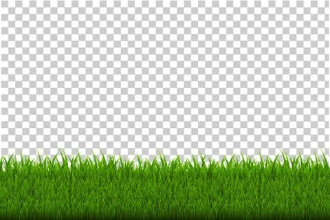 Green Grass Border Stock Illustration