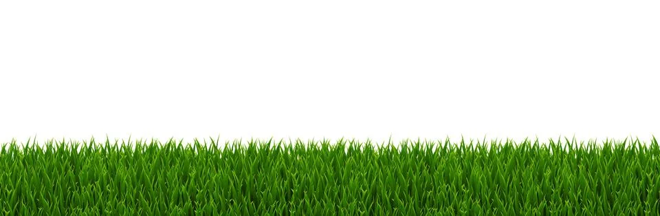Green Grass Border Illustrazione stock