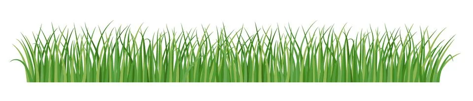 Green grass border Stock-Illustration