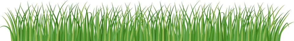 Green grass border Stock-Illustration