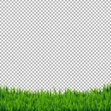 Green Grass Border Isolated Stock Illustration