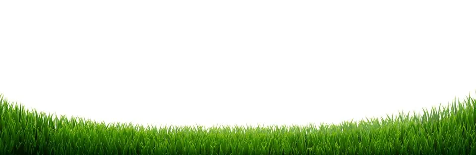Green Grass Border Isolated Stock Illustration