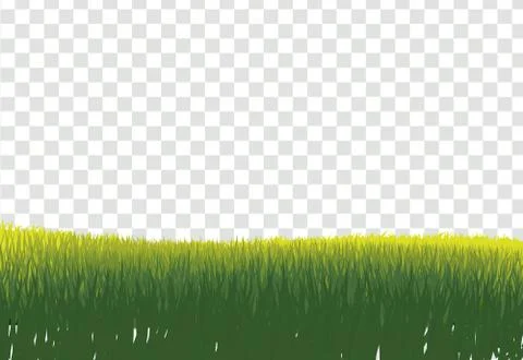 Green Grass Border, Isolated on Transparent Background, With Gradient Mesh, V Stockillustratie