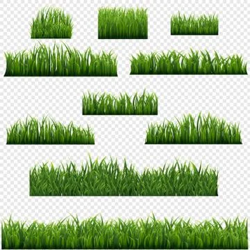 Green Grass Border Isolated Transparent background Stock Illustration
