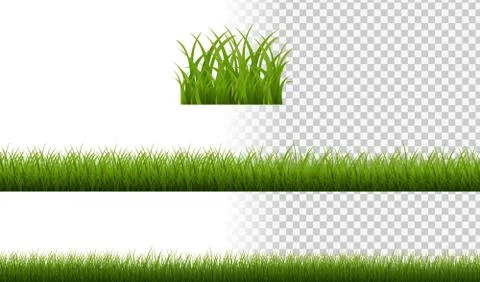 Green Grass Border Isolated Transparent Background Stock Illustration